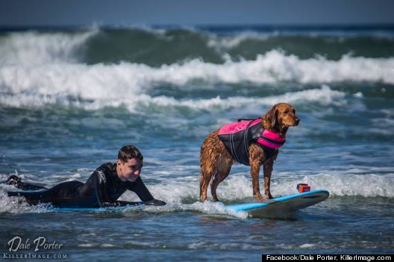 Surfing Dog Helps Terminally Ill Teen Reach His Dreams